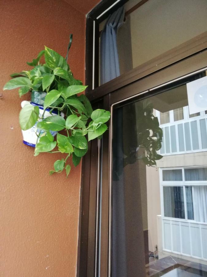 Babelia Apartamento Las Palmas de Gran Canárias Exterior foto